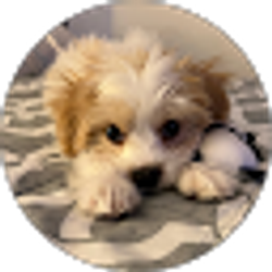 Profile photo of Lidia Nieve