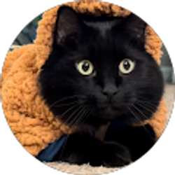 Profile photo of Jackie Deaner