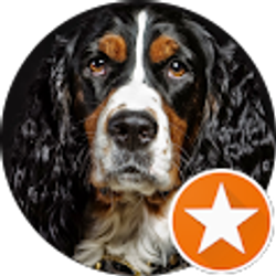 Profile photo of Canine Services