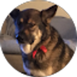 Profile photo of Anna Larson