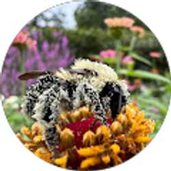 Profile photo of Yoni Retana