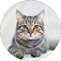 Profile photo of David Sparks