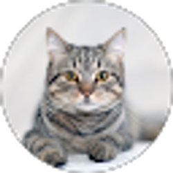 Profile photo of David Sparks