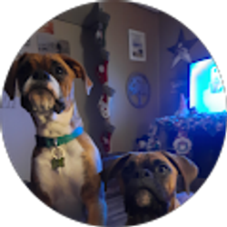 Profile photo of Jason Hammond