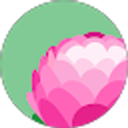 Profile photo of lianet rodriguez