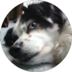 Profile photo of Nathan McGee