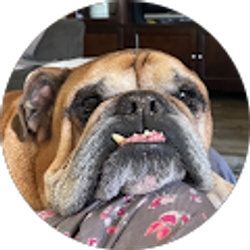 Profile photo of Katelynn Hindman