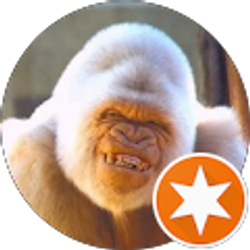 Profile photo of jeffrey orrell