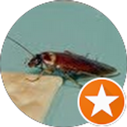 Profile photo of Sherry Hill