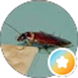 Profile photo of Sherry Hill (Annie Oakley Pest Control)