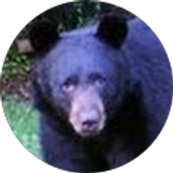 Profile photo of jc za