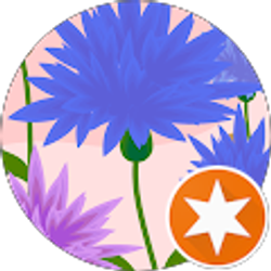 Profile photo of Sandy