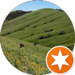 Profile photo of Dalton Frederickson