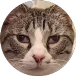 Profile photo of Nik Masser