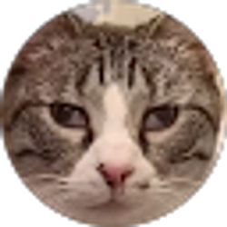 Profile photo of Nik Masser