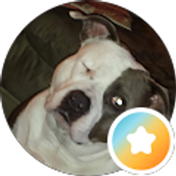 Profile photo of VONDA MCDONALD GOLDING