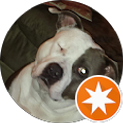 Profile photo of VONDA MCDONALD GOLDING