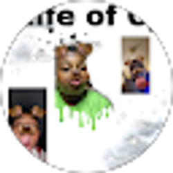 Profile photo of Life WithCj