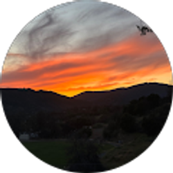 Profile photo of Tricia Tirella