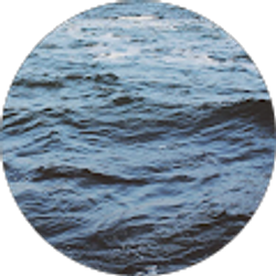 Profile photo of Addy Barnhart