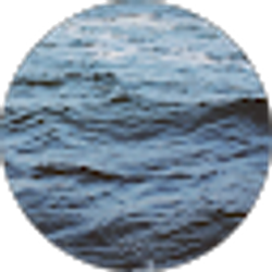 Profile photo of Addy Barnhart