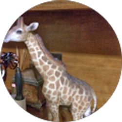Profile photo of Kathy Reine