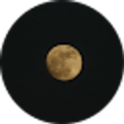 Profile photo of Cristina De Anda