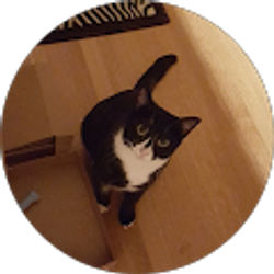 Profile photo of Annie Bianchino