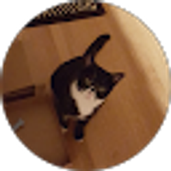 Profile photo of Annie Bianchino