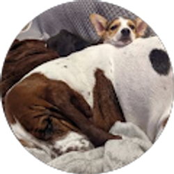 Profile photo of Travis nienke