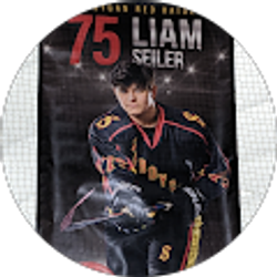 Profile photo of Liam Seiler