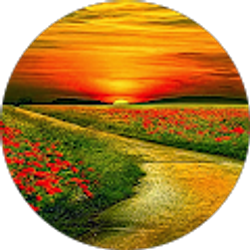 Profile photo of Salome Quizhpi