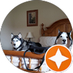 Profile photo of Rod Abba