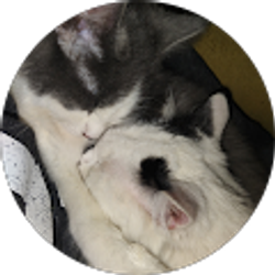 Profile photo of Scott