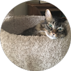 Profile photo of M “MegPie” H