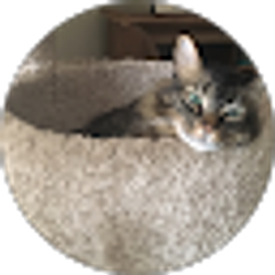 Profile photo of M “MegPie” H