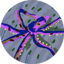 Profile photo of Melissa Monse