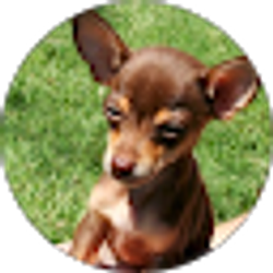 Profile photo of Beth Anderson