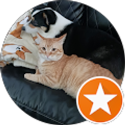 Profile photo of Zenaida Perez