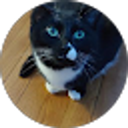 Profile photo of Noey B