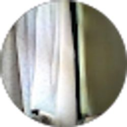 Profile photo of scott cole
