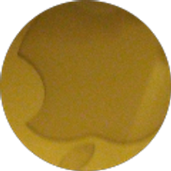 Profile photo of Heather Miller