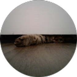 Profile photo of Cywyn