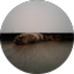 Profile photo of Cywyn