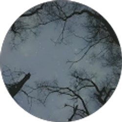 Profile photo of Ana Jose Lorenzo