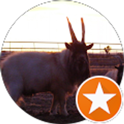 Profile photo of Dan Semick