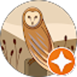 Profile photo of Olga Kravchuk