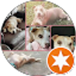 Profile photo of Chelsea