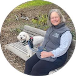 Profile photo of Anne Stohrer