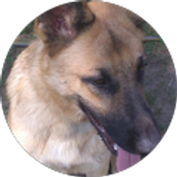 Profile photo of Ernestia Arellano